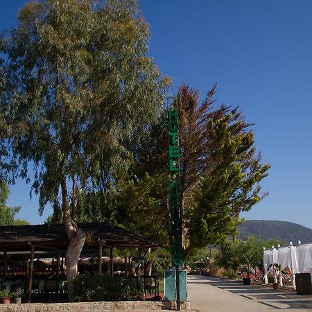 Hotel Hellas Epidaurus Esterno foto